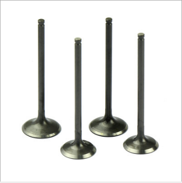 Intake/Exhaust Valve